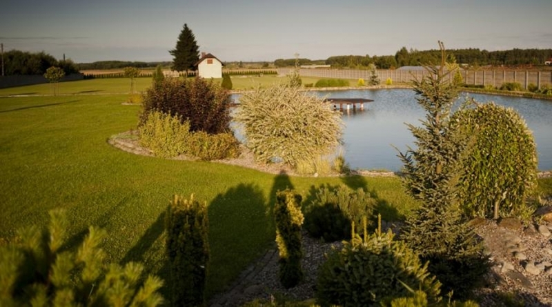 Naša škôlka rastlín